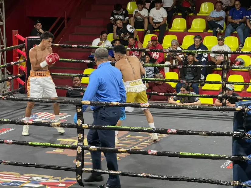 BOXEO--(25)