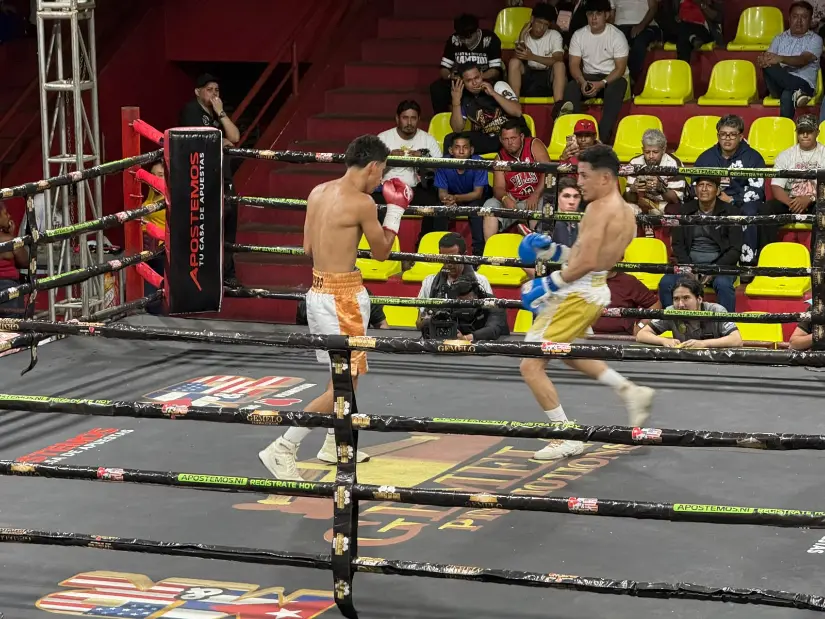 BOXEO--(27)