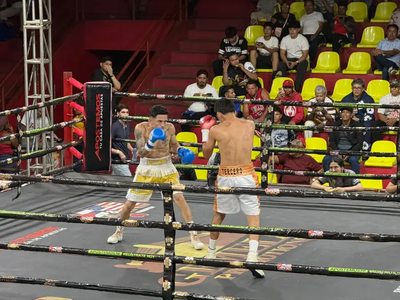 BOXEO--(28)