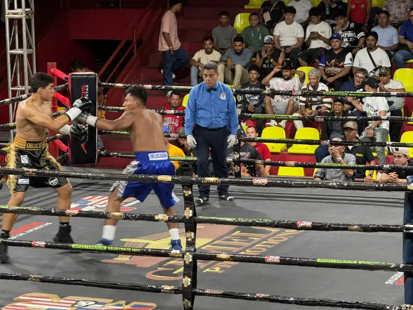 BOXEO--(6)
