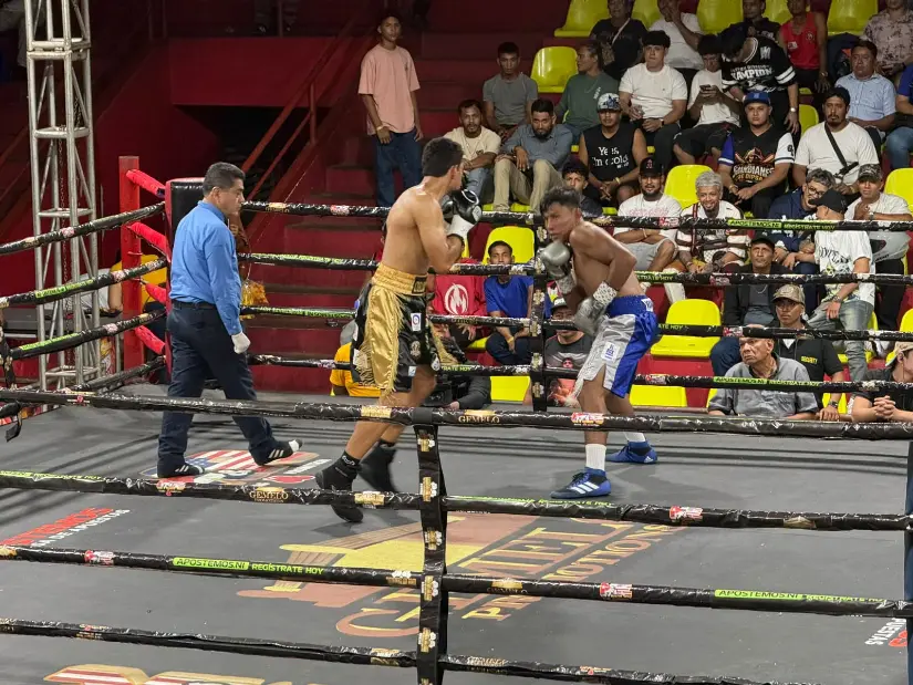 BOXEO--(8)