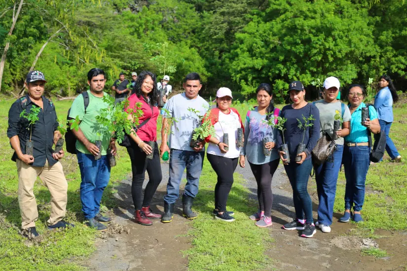 OMETEPE--(100)