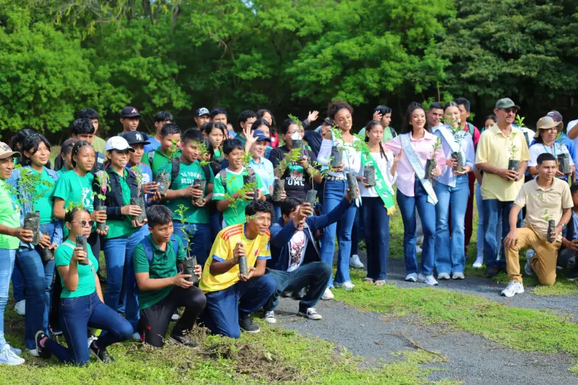 OMETEPE--(93)