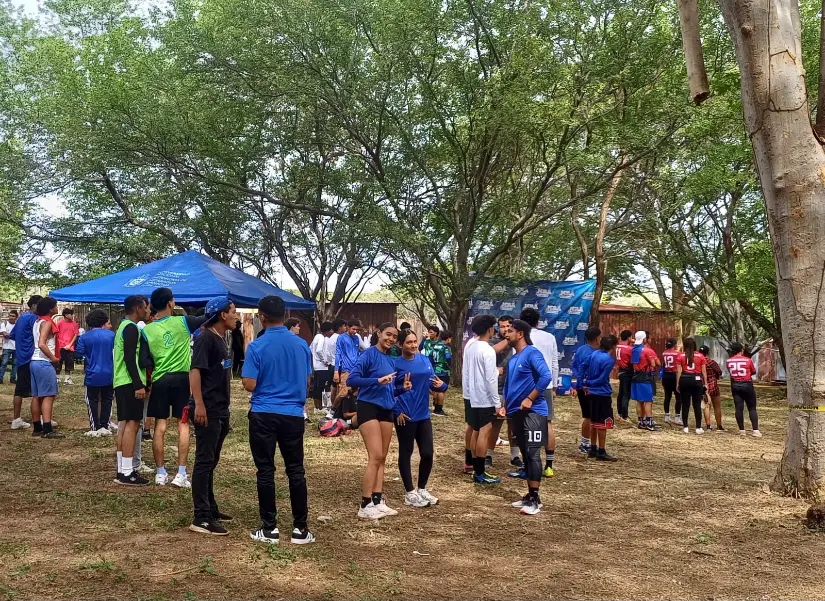 DESAFIO-6