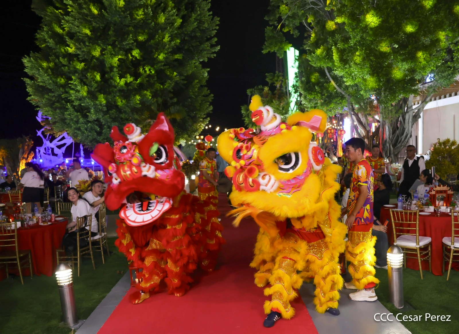 CHINA-(24)