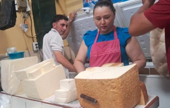 QUESO-(3)